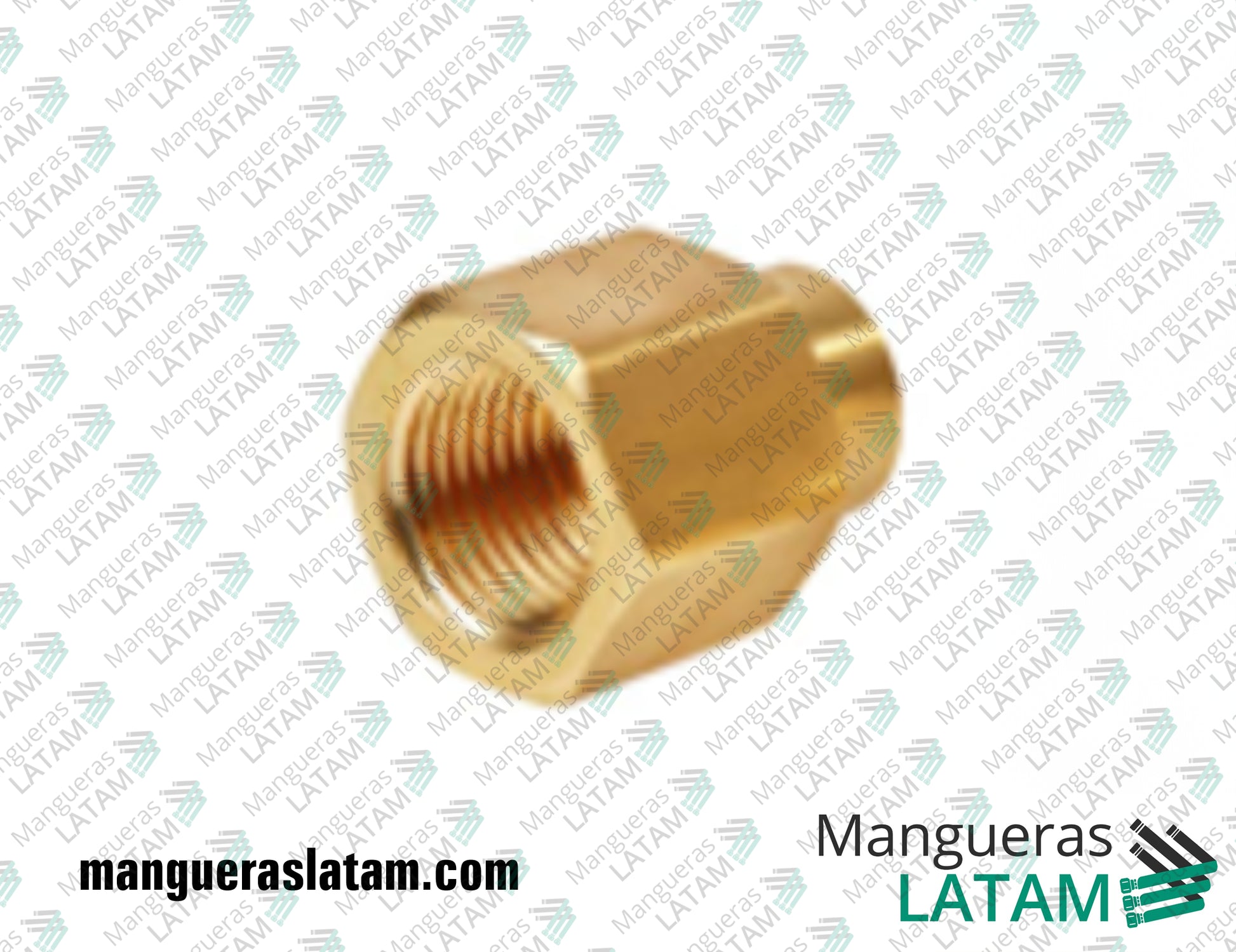 Cupla Reduccion BSP Accesorio de Bronce para Oil & Gas / Petroleo
