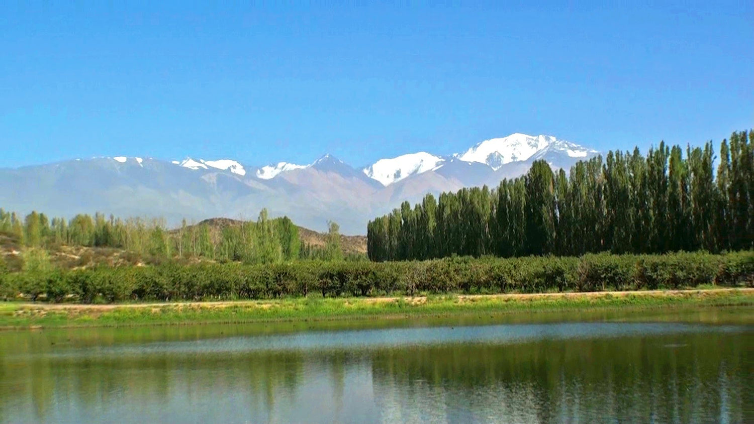 Mangueras-Mendoza-Punto-de-Entrega