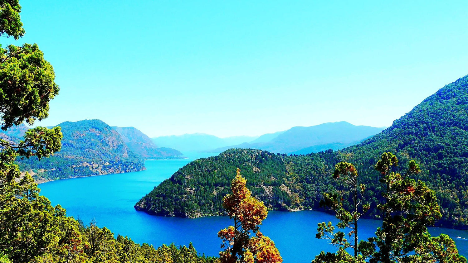 Mangueras-Neuquen-Punto-de-Entrega