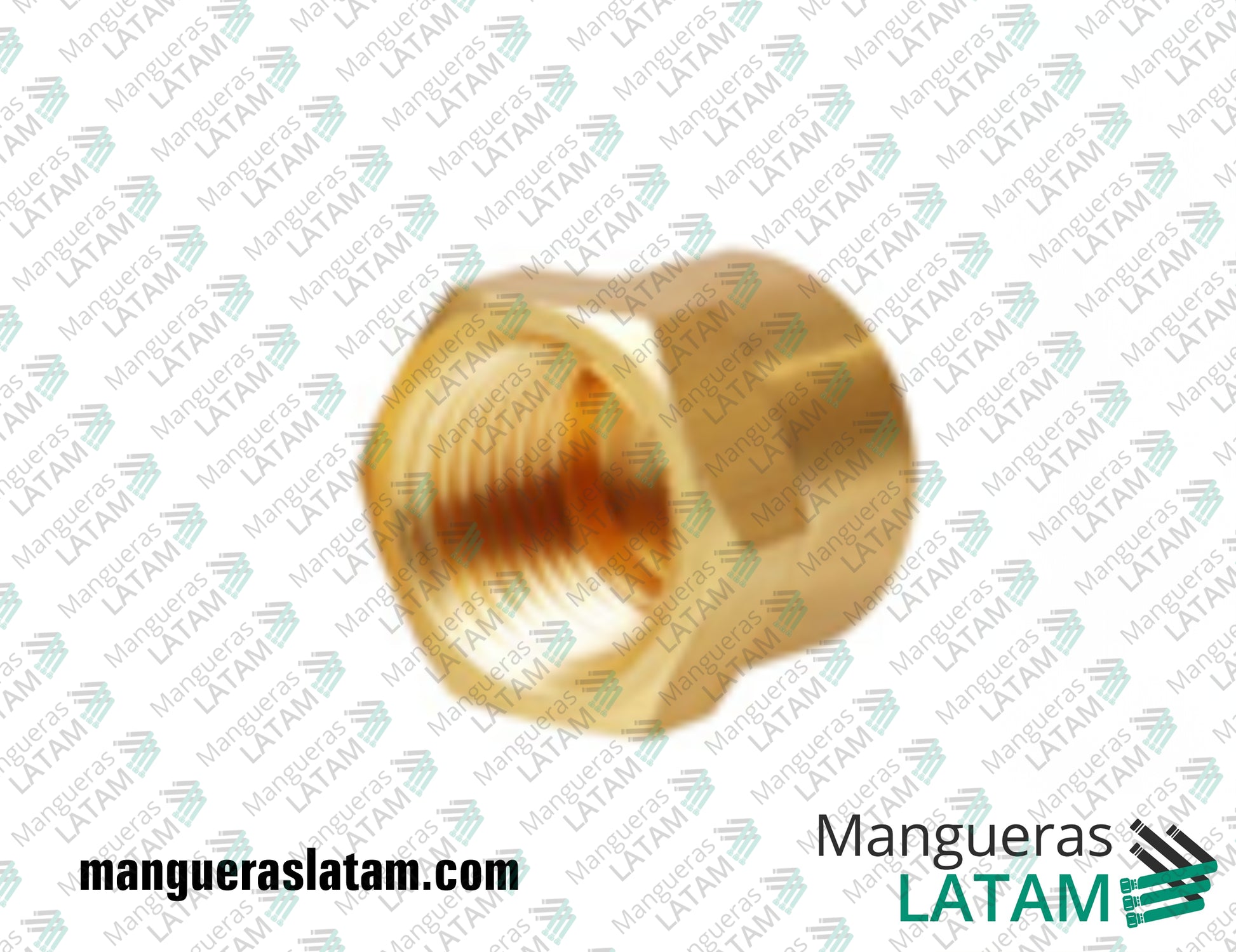 Tapa BSP Accesorio de Bronce para Oil & Gas / Petroleo