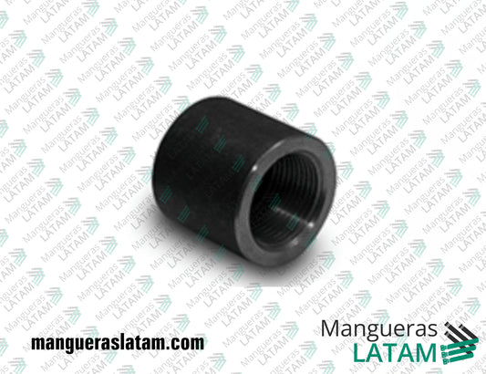 Tapa Accesorio Forjado para Oil & Gas / Petroleo